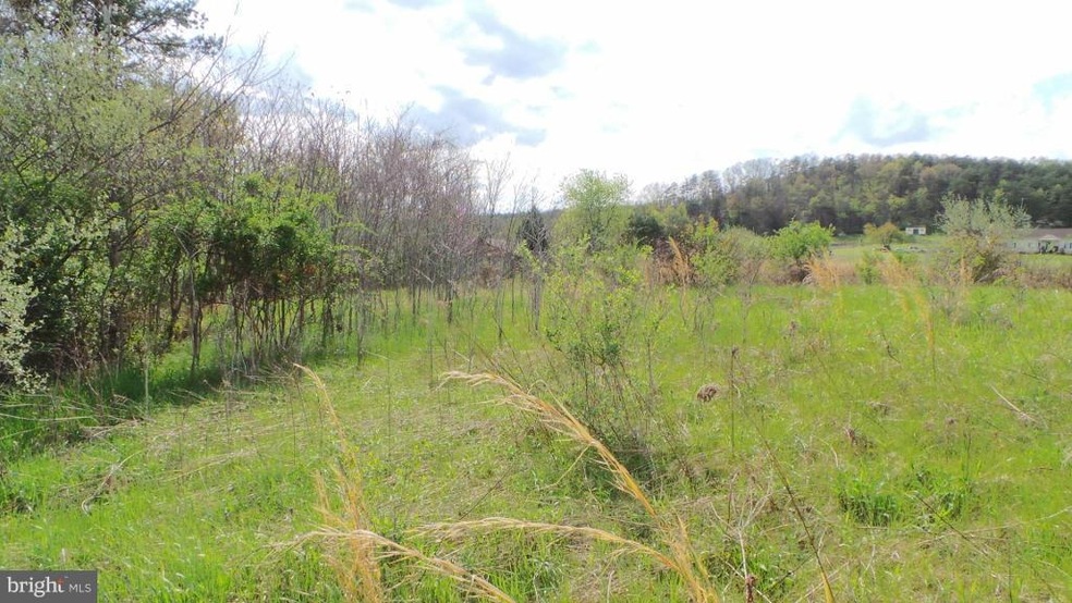 13 Amulet Dr, Berkeley Springs, WV 25411 - photo 1