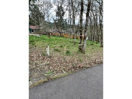 0 Laurel Hill Dr unit 103 22651376, Eugene, OR 97403 - photo 1