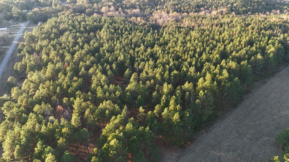 County Road 1156, Troy, AL 36079 - photo 1