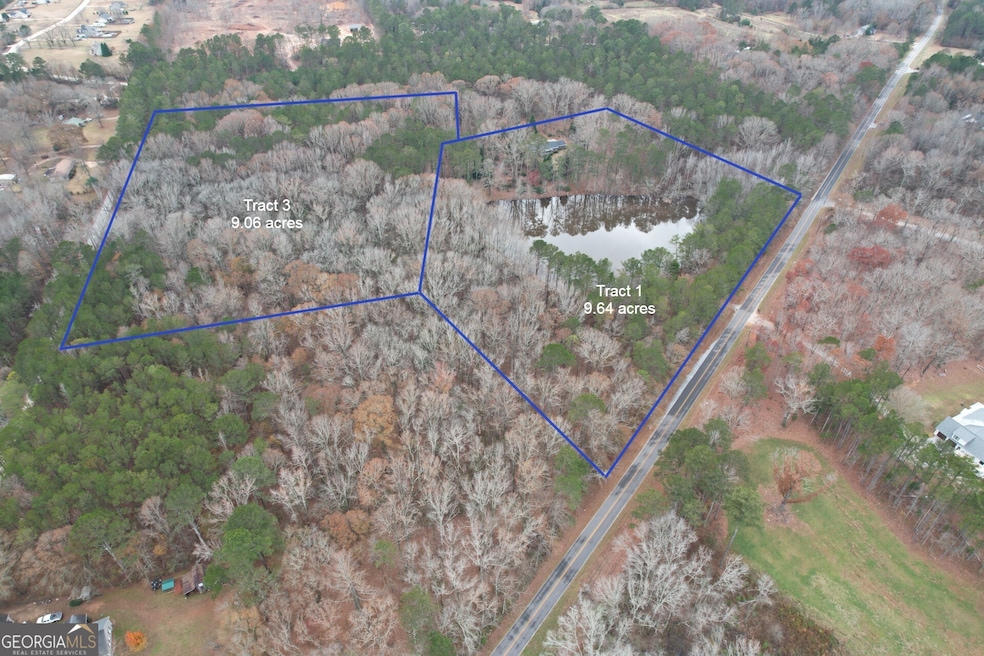 TRACT 3 Grady Maddox Rd, Zebulon, GA 30295 - photo 1