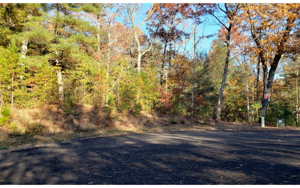 LT 43 Cant Hook Dr, Ellijay, GA 30540 - photo 1