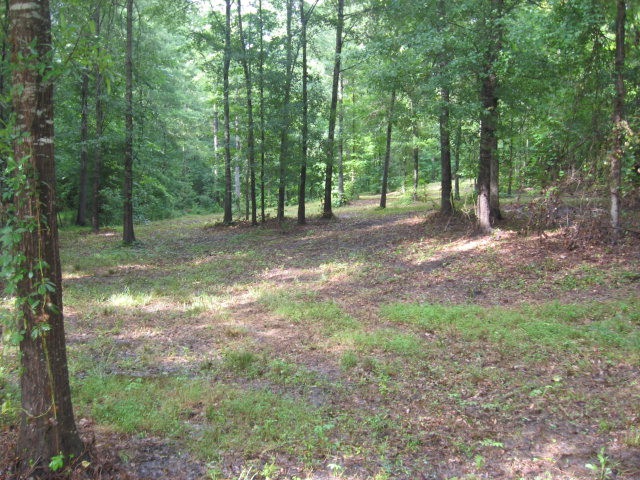 1 Morningside Dr, Lincolnton, GA 30817 - photo 1