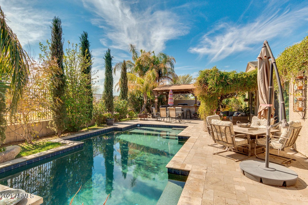 Lush Backyard