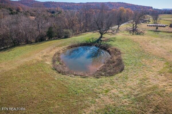 33.59  AC E Bethlehem Rd, Sparta, TN 38583 - photo 1