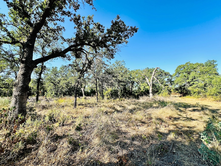 County Road 428, Cross Plains, TX 76443 - photo 1