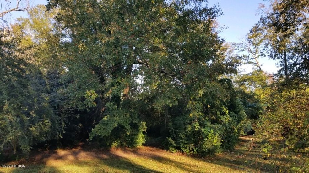 308 Murphy Ct, Macon, GA 31216 - photo 1