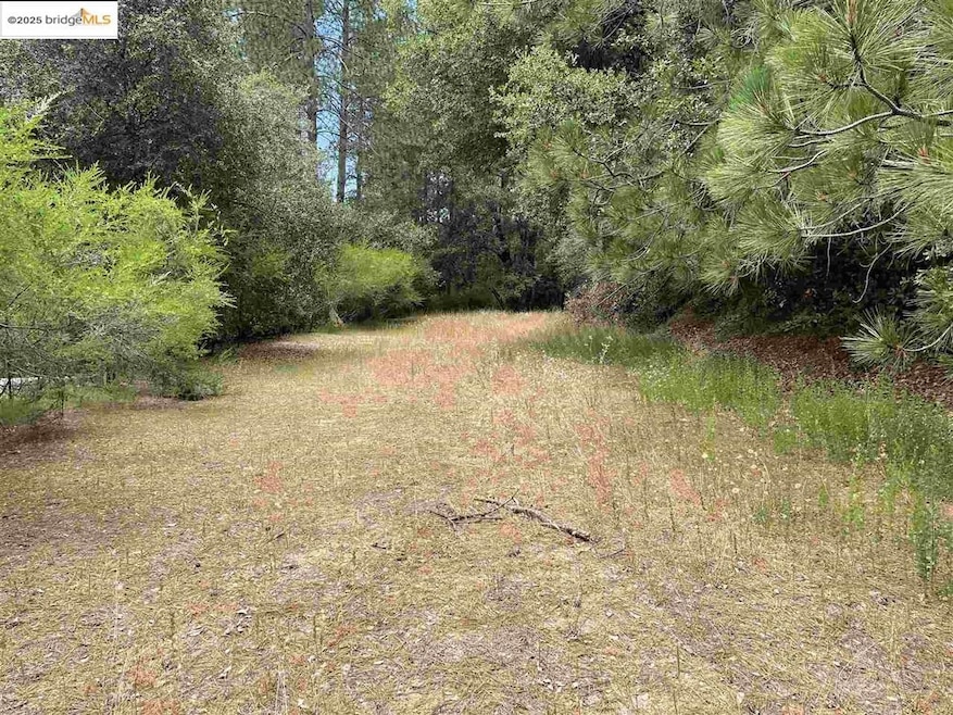 Sold $30,000 • Co-Listing Agent