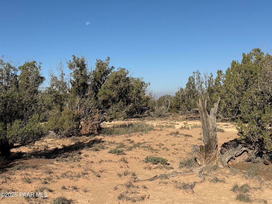 3868 Clyde Rd, Snowflake, AZ 85937 - photo 1