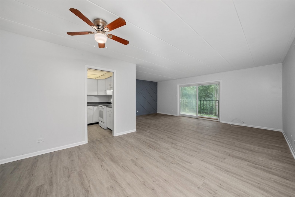 2807 Willow Rd unit 103, Homewood, IL 60430 - photo 1