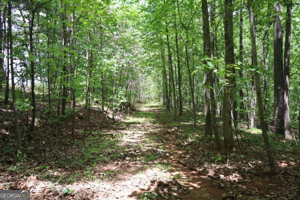 0 Parksbrook Road A unit 10302393, Ellijay, GA 30143 - photo 1