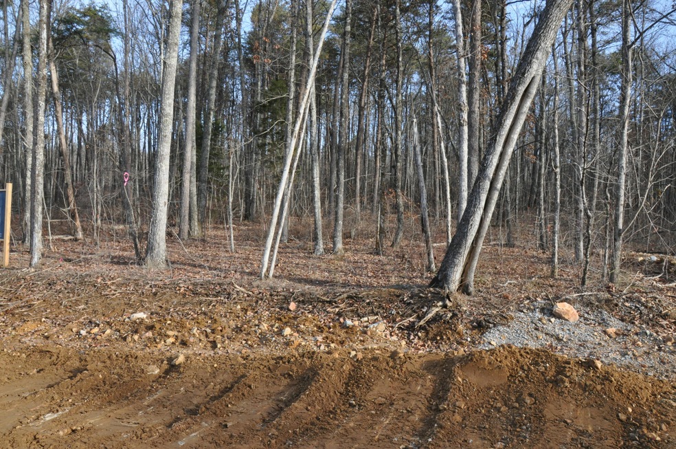 Lot57