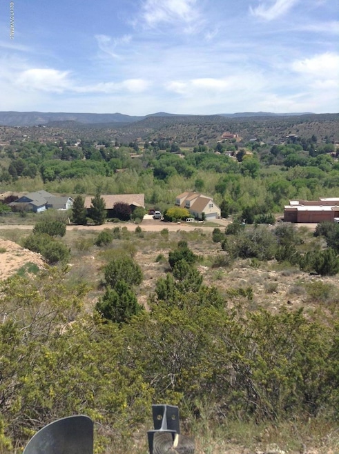 View from Rusty Spurs Rd.