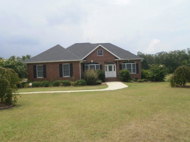 Main View