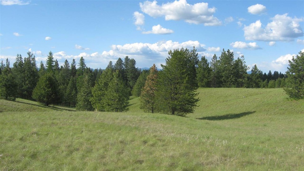 1302 W Wild Rose Rd, Colbert, WA 99005 - photo 1