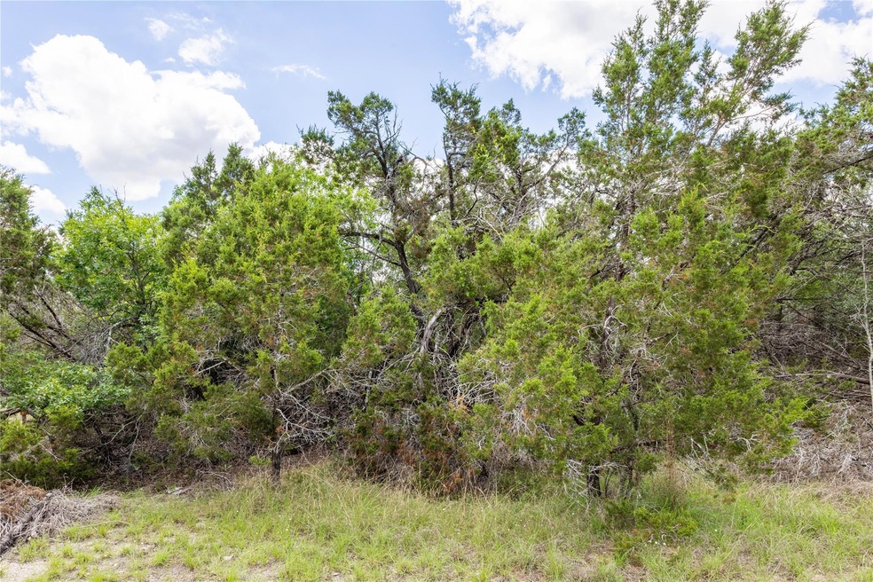 View of local wilderness