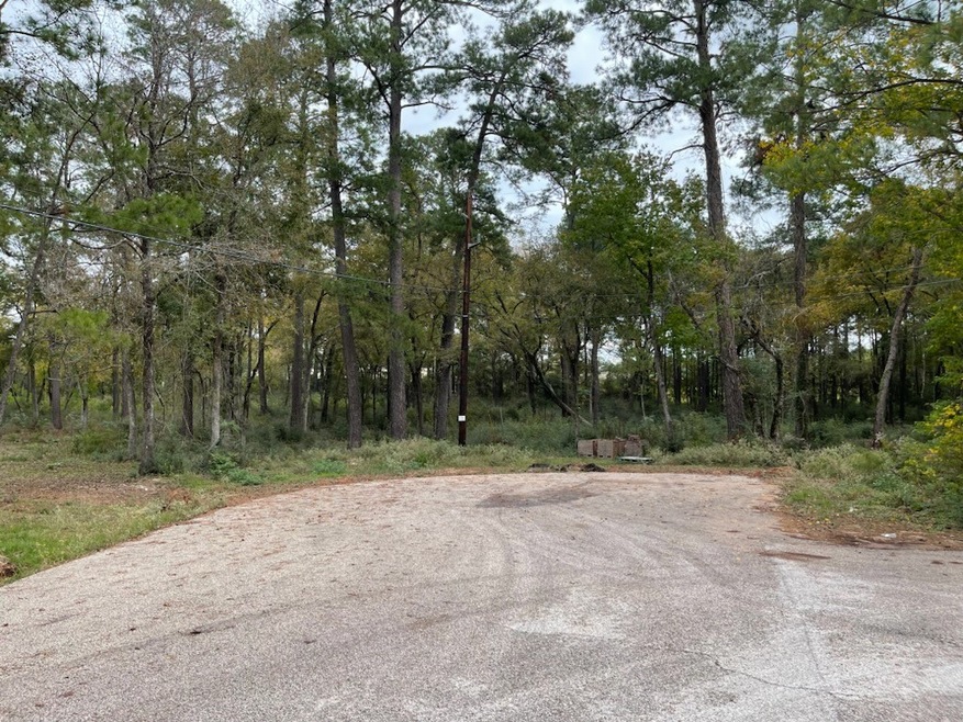 715 Creek Crossing, Magnolia, TX 77355 - photo 1