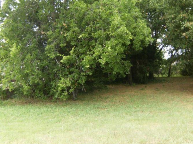 209 William Allen Ln, Decatur, TX 76234 - photo 1