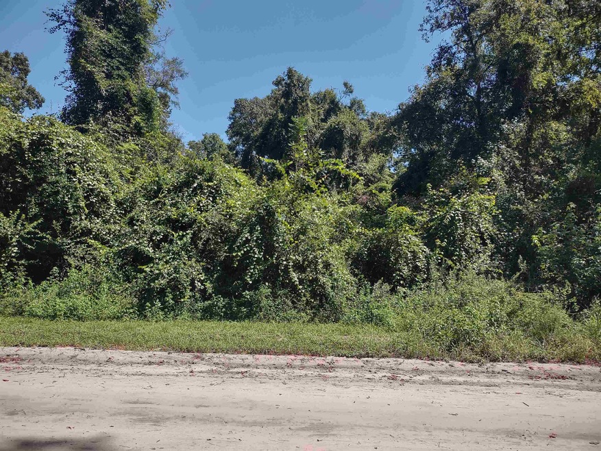 XX Appaloosa Rd, Crawfordville, FL 32327 - photo 1