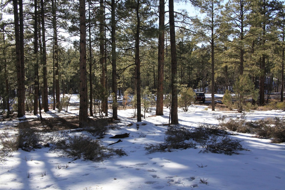 2121 S Bristlecone Dr unit 350, Show Low, AZ 85901 - photo 1