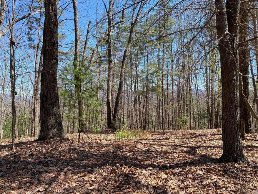 0 Flagpole Rd unit 7189785, Ellijay, GA 30540 - photo 1