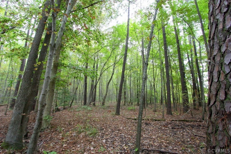 0 Vfw Rd unit 1528681, King William, VA 23181 - photo 1