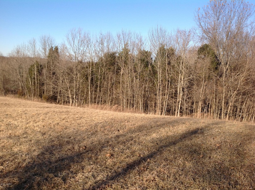 1 Timber Creek, Lawrenceburg, KY 40342 - photo 1