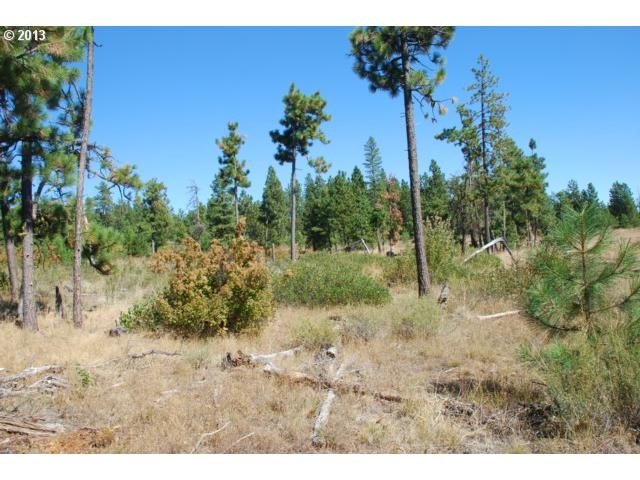 0 Pine Creek Rd unit 3 12336471, Bickleton, WA 99322 - photo 1