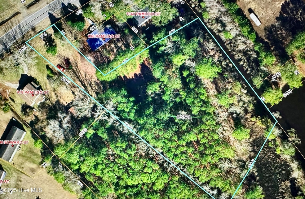 0 Pamlico Beach unit 100495750, Belhaven, NC 27810 - photo 1