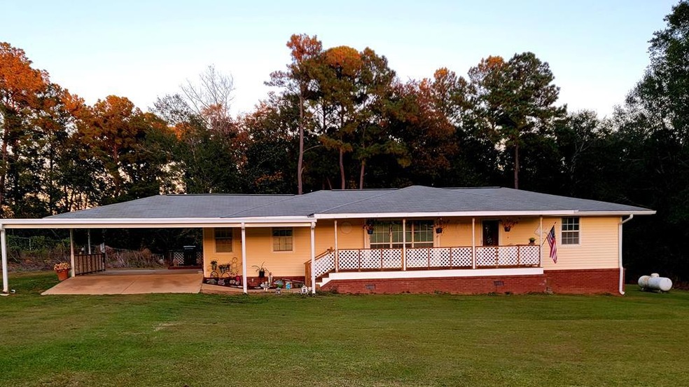Main View