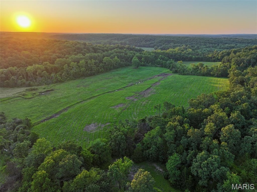 58.74 Acres Highland Fling, Sullivan, MO 63080 - photo 1