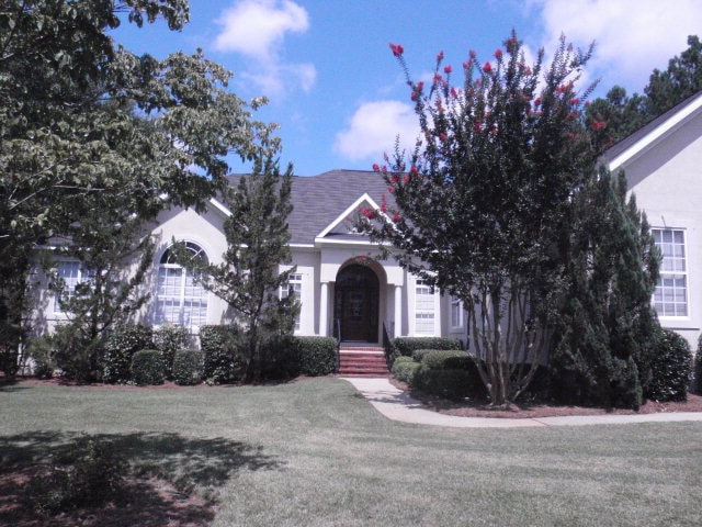 Main View