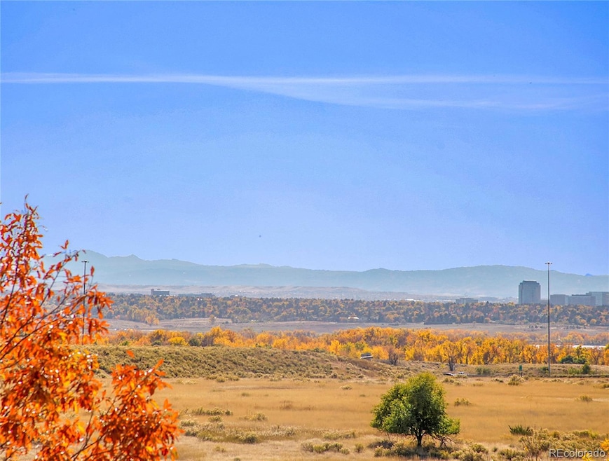 Views from one Patio of #401