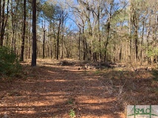 1622 Harris Trail Rd, Richmond Hill, GA 31324 - photo 1