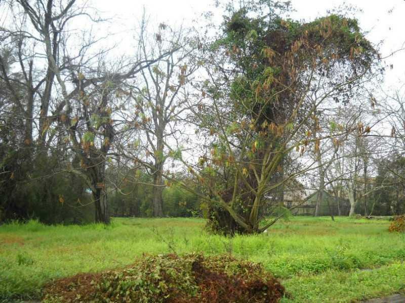 Land/Lot.