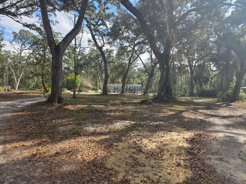 1053 NE 558th St, Old Town, FL 32680 - photo 1