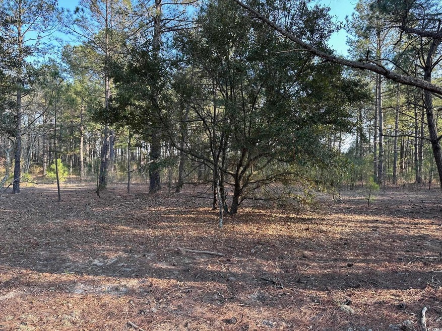 TBD Lot 1 McNabb Short Cut Rd, Loris, SC 29569 - photo 1