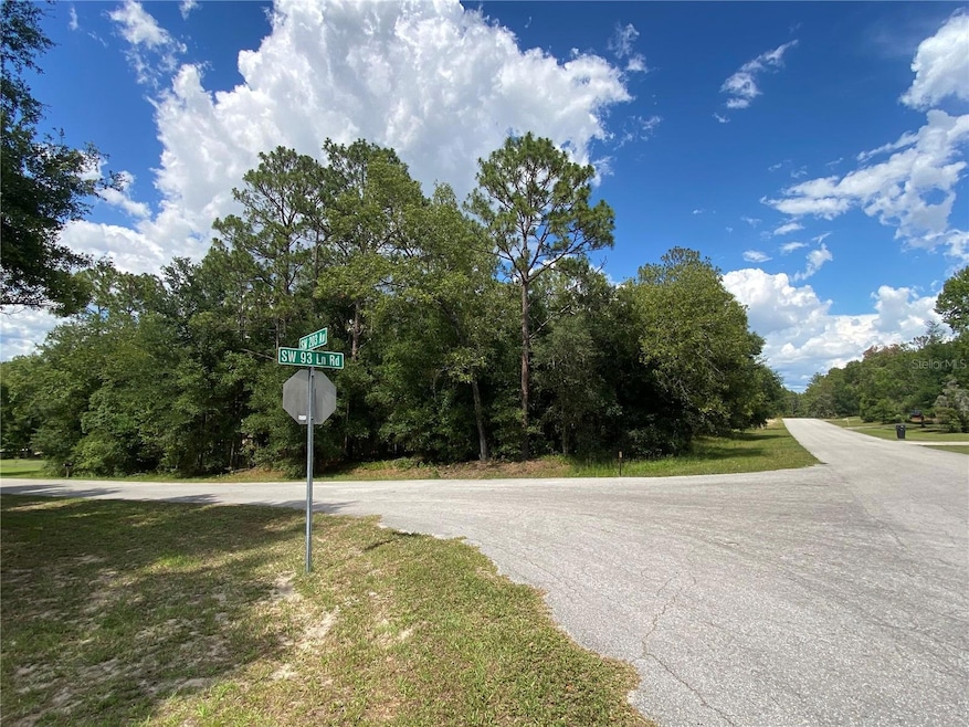 Lot 57 SW 203rd Ave, Dunnellon, FL 34431 - photo 1