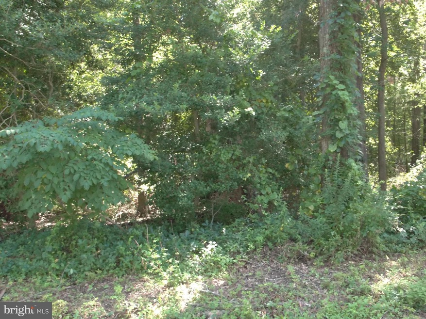 0 Stratford Cir unit VAWE2003142, Colonial Beach, VA 22443 - photo 1