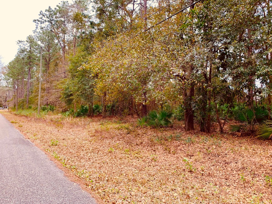 0 W Pine Estates Rd unit 978833, Jacksonville, FL 32218 - photo 1