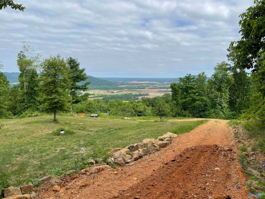 646 Keel Mountain Rd, Gurley, AL 35748 - photo 1