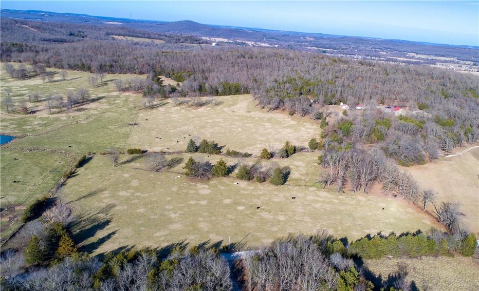 20 acres Downing Rd, Fayetteville, AR 72701 - photo 1
