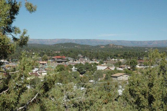 Primary Photo