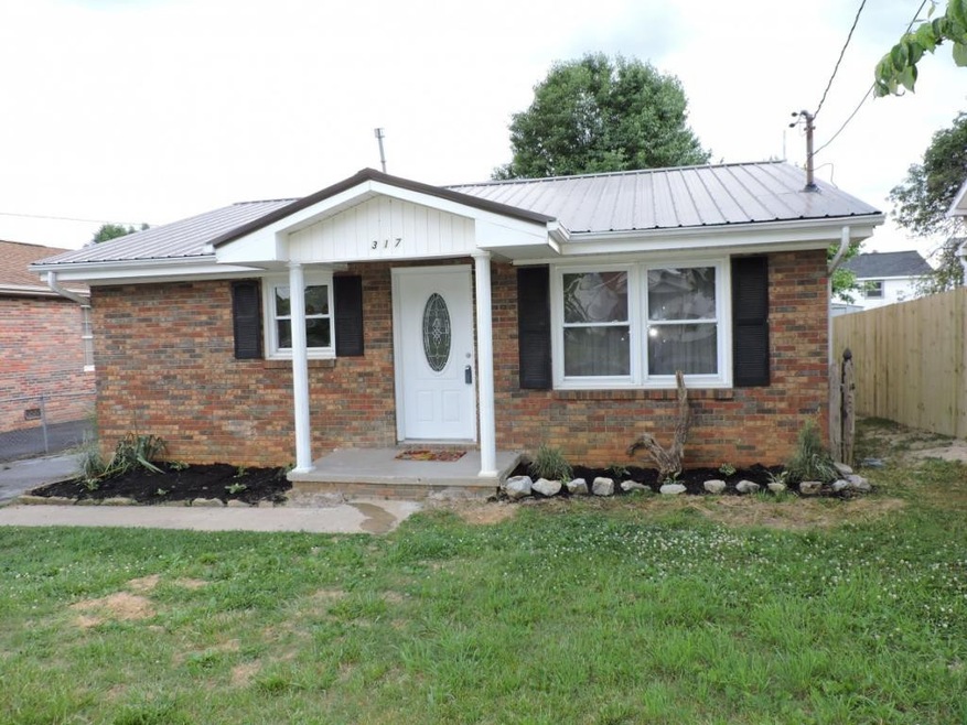 317 Roosevelt St, Johnson City, TN 37601 - photo 1
