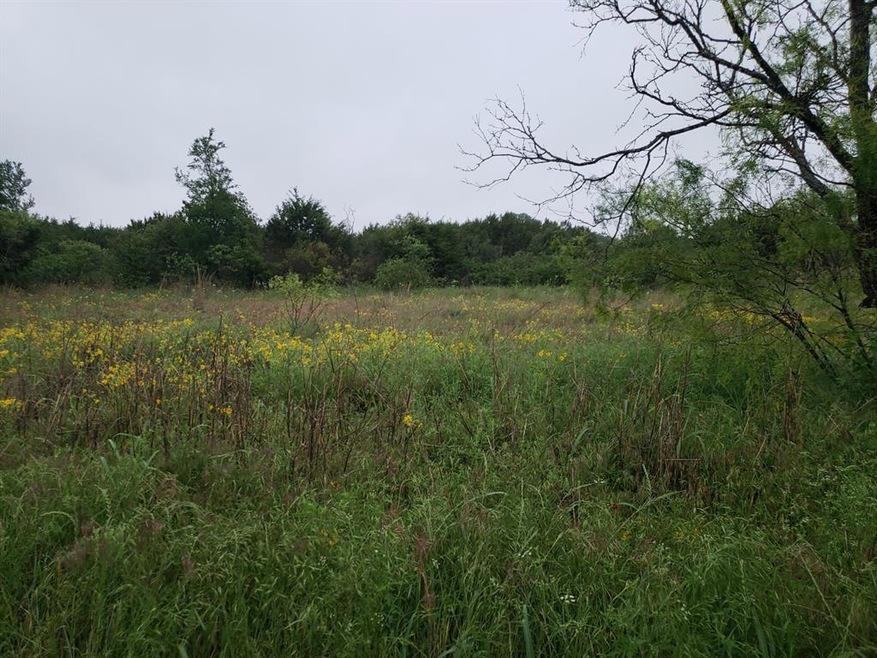 136 Mesquite Trail, Weatherford, TX 76087 - photo 1