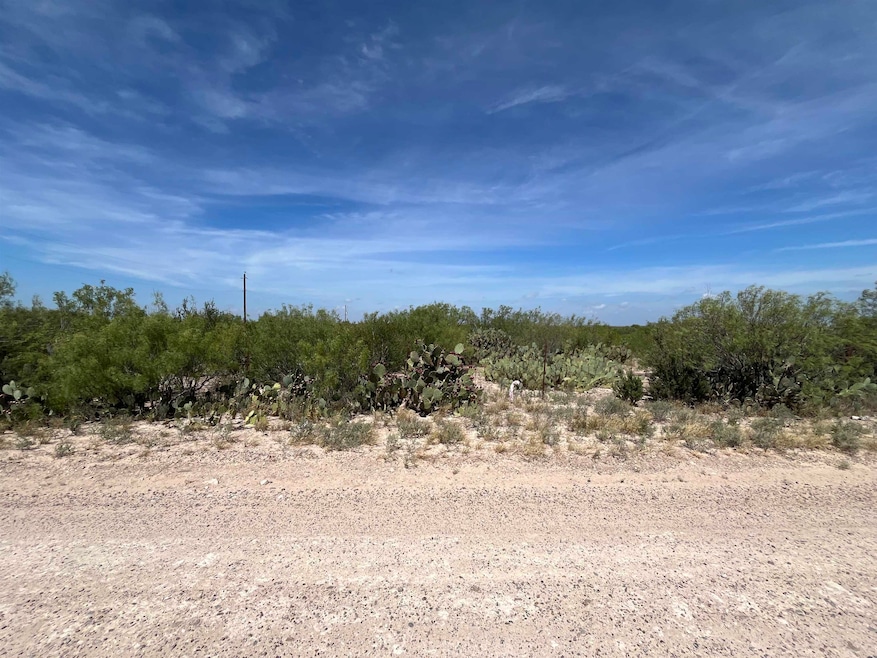 0 Camino Del Este unit 20253214, Laredo, TX 78043 - photo 1