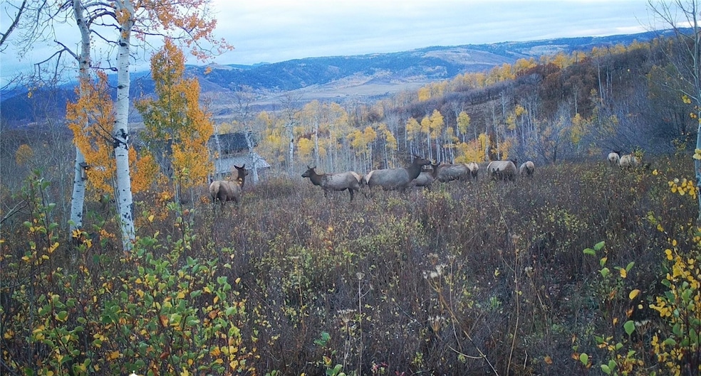 55966 Hannahs Way, Clark, CO 80428 - photo 1