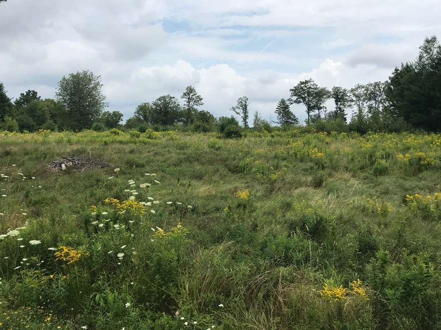 C23b23c,24 Williamsville Rd, Barre, MA 01005 - photo 1