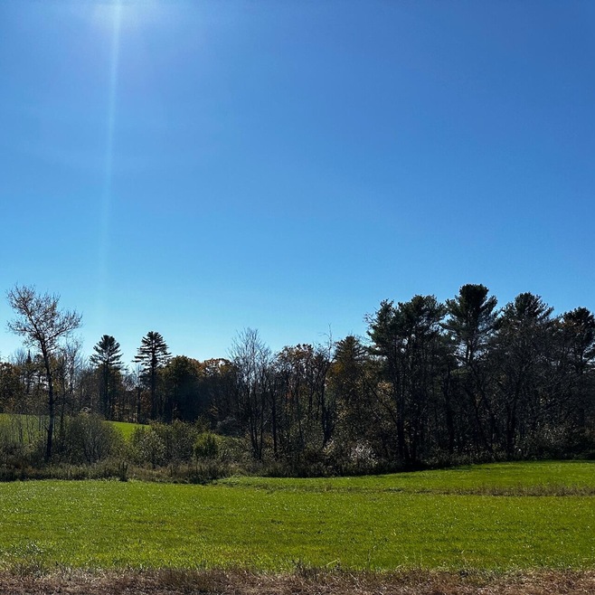 Land Pic 3