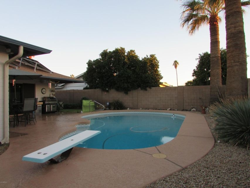 Pool - Patio