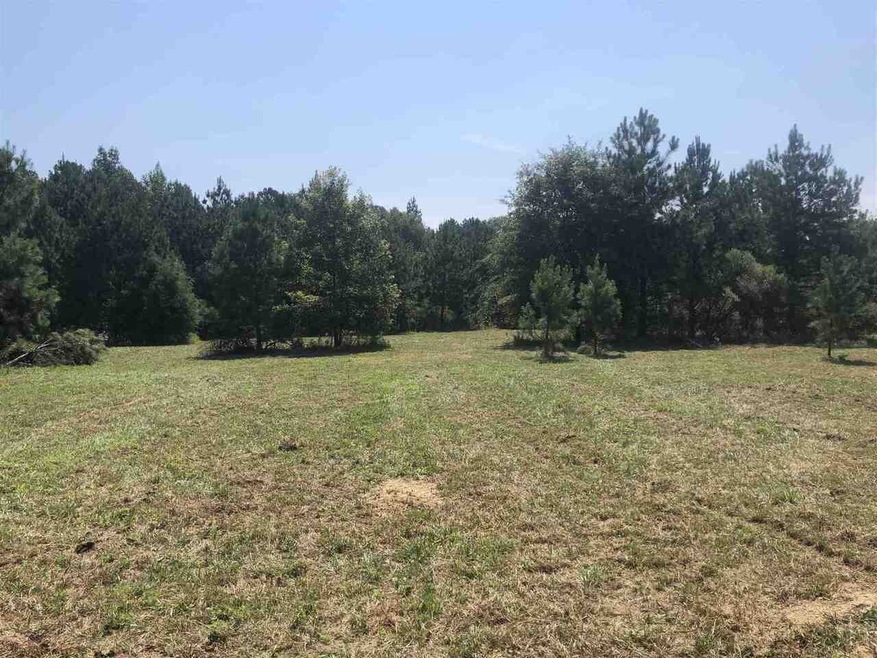 0 Morton Bend Rd SW unit 8972588, Rome, GA 30161 - photo 1